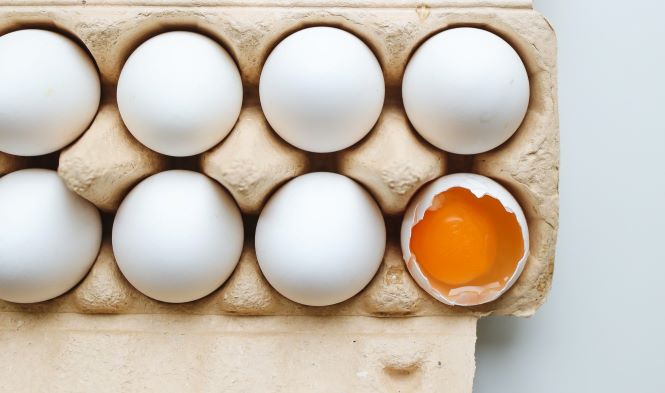 reptielen Nieuwe betekenis koken Eieren voor hart en bloedvaten | MMV