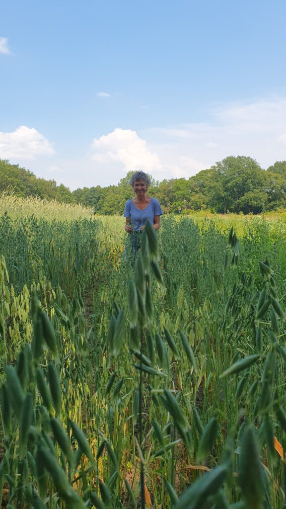 Rineke Dijkinga: 'Werk aan biodiversiteit op je eigen vierkante meter' 6