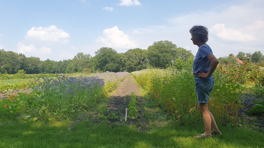 Rineke Dijkinga: 'Werk aan biodiversiteit op je eigen vierkante meter' 4