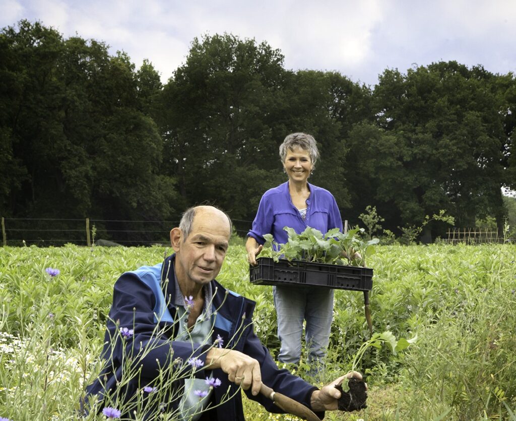 Rineke Dijkinga: 'Werk aan biodiversiteit op je eigen vierkante meter' 3