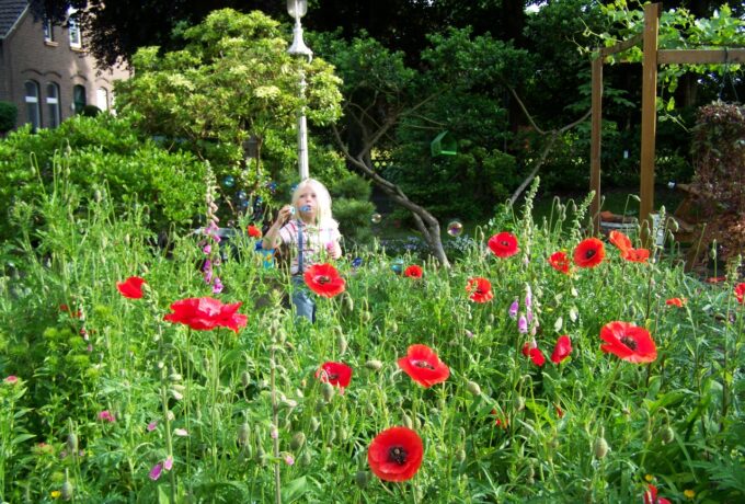 Een wilde tuin, wat zullen de buren zeggen? 11