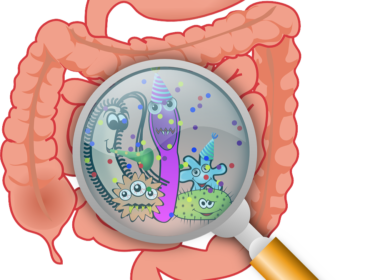 Welbewapend de vrede met het microbioom bewaren 11