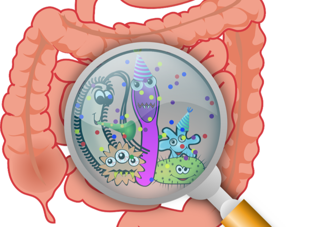 Welbewapend de vrede met het microbioom bewaren 12