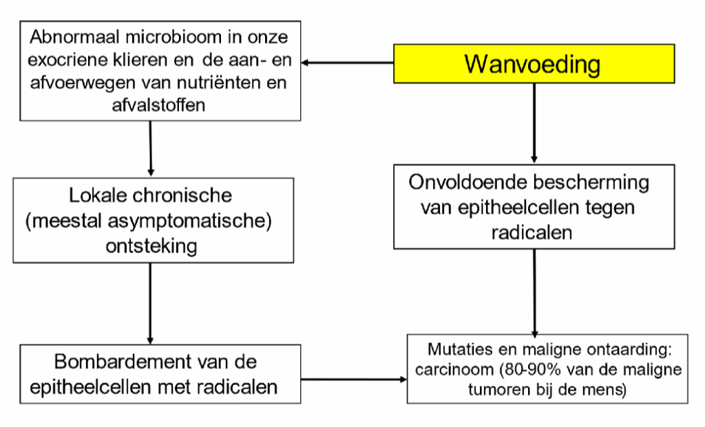 Welbewapend de vrede met het microbioom bewaren 4