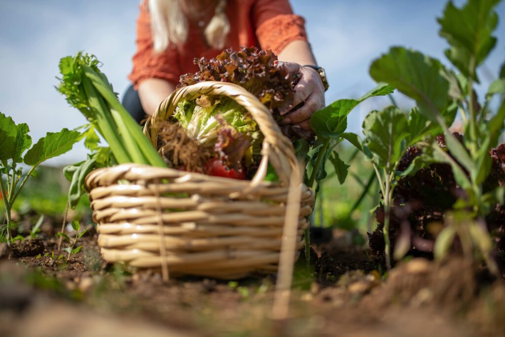 Plantaardig(er) en onbewerkt(er) eten dus 3