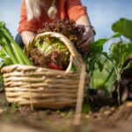 Plantaardig(er) en onbewerkt(er) eten dus 5