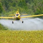 Belgische bioboeren werken met verboden middel 17